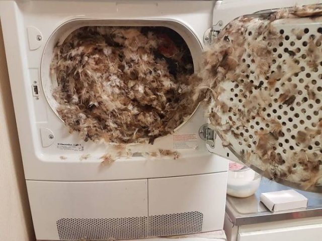 Laundry Fails (50 pics)