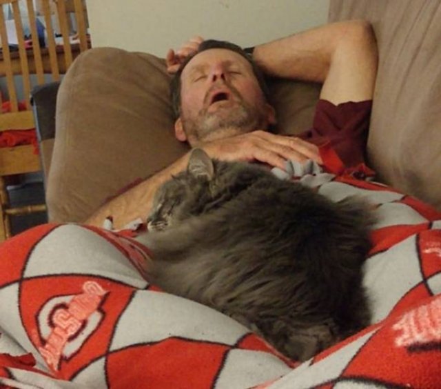 These People Refused To Have Pets (29 pics)
