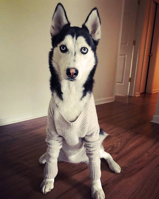 Laundry Fails (50 pics)