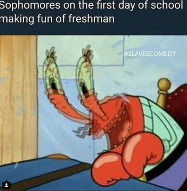 High School Memes (33 pics)