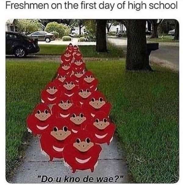 High School Memes (33 pics)