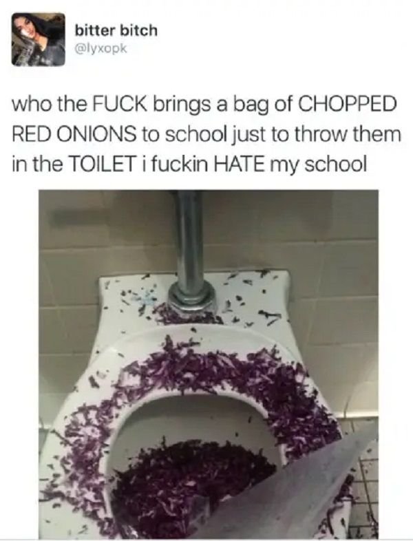 High School Memes (33 pics)
