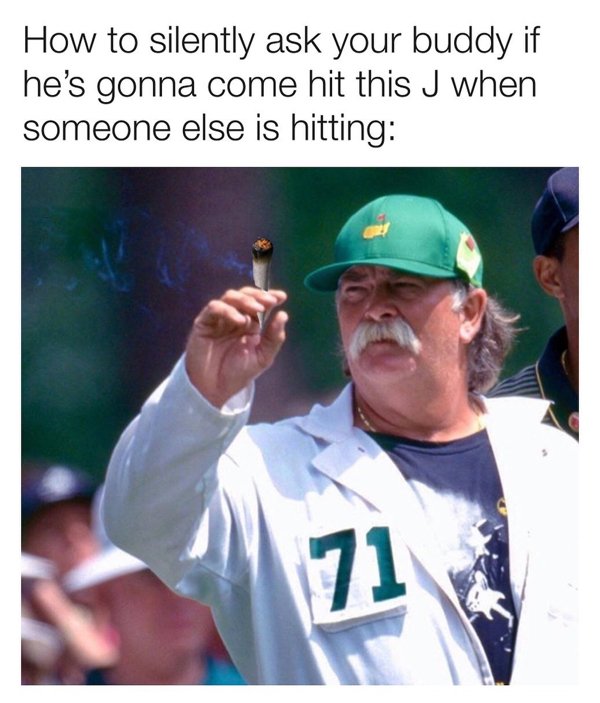 Golf Memes (30 pics)