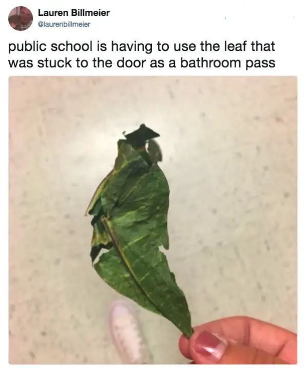 High School Memes (33 pics)