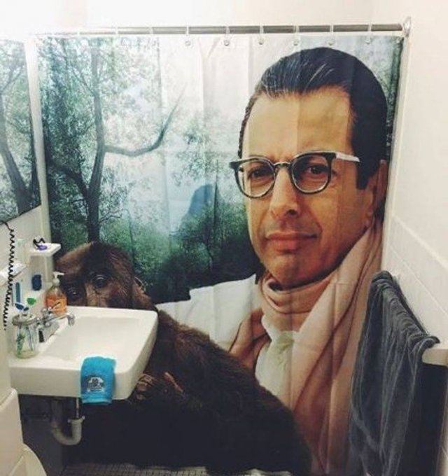Married People Will Understand (20 pics) Married People Will Understand (20 pics)