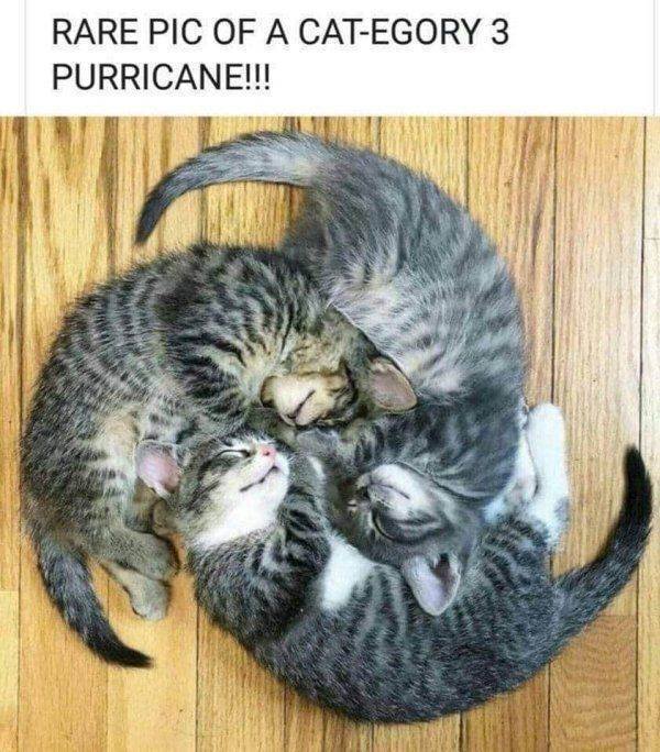 Acid Picdump. Part 2 (94 pics)