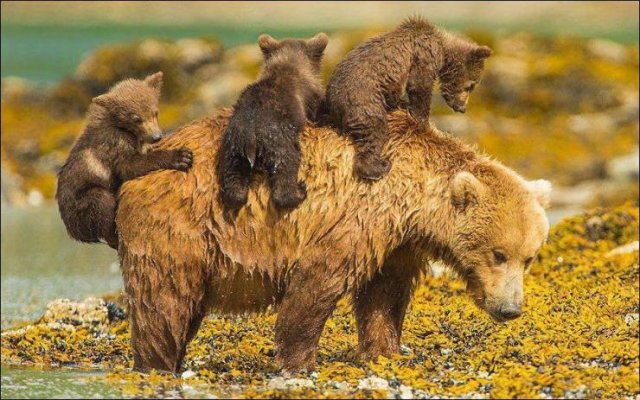 Acid Picdump. Part 2 (94 pics)