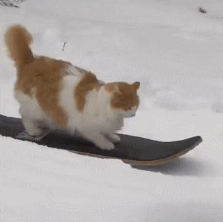 Acid Gifdump, August 6 (25 gifs)