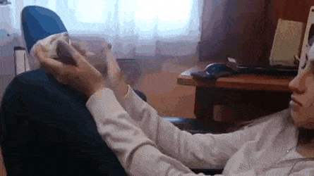 Acid Gifdump, August 6 (25 gifs)