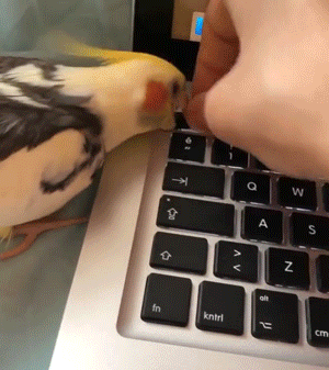 Acid Gifdump, August 6 (25 gifs)