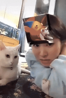 Acid Gifdump, August 6 (25 gifs)