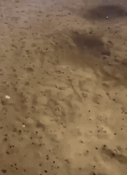 Acid Gifdump, August 6 (25 gifs)