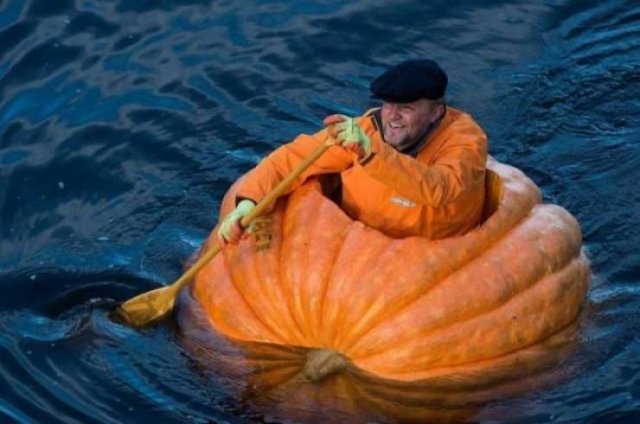 Acid Picdump. Part 2 (94 pics)