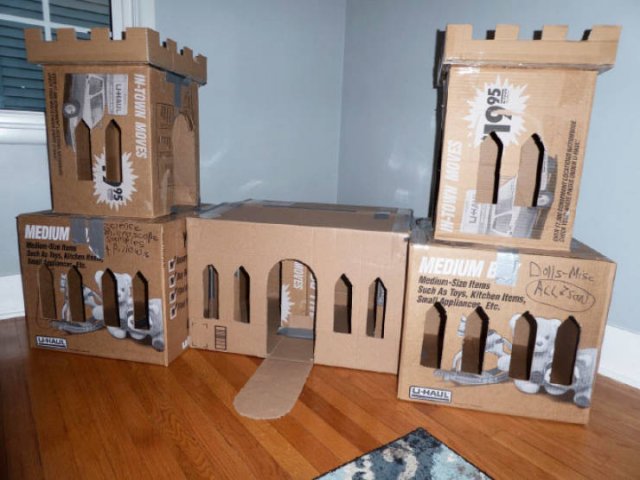 Cats In Cardboard Forts (22 pics)