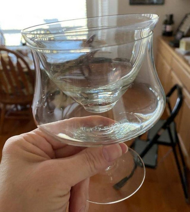 What Are These Things For? (25 pics)