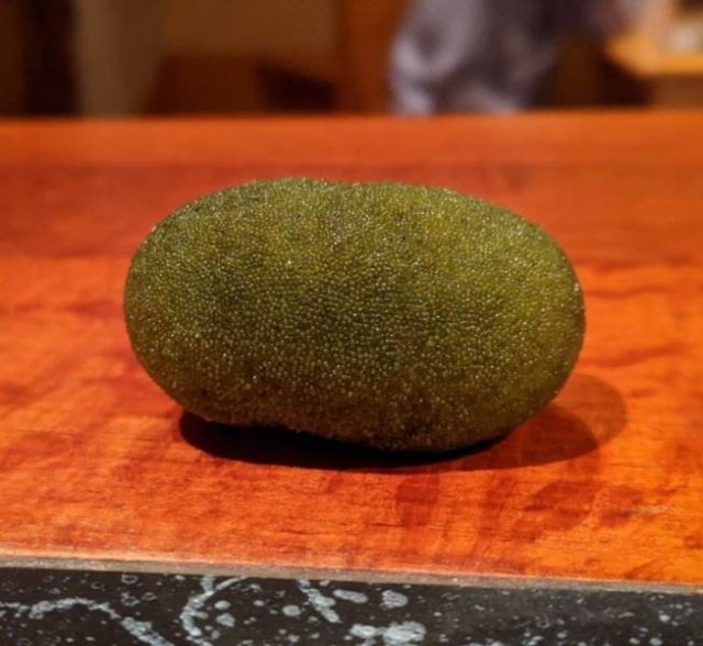What Are These Things For? (25 pics)