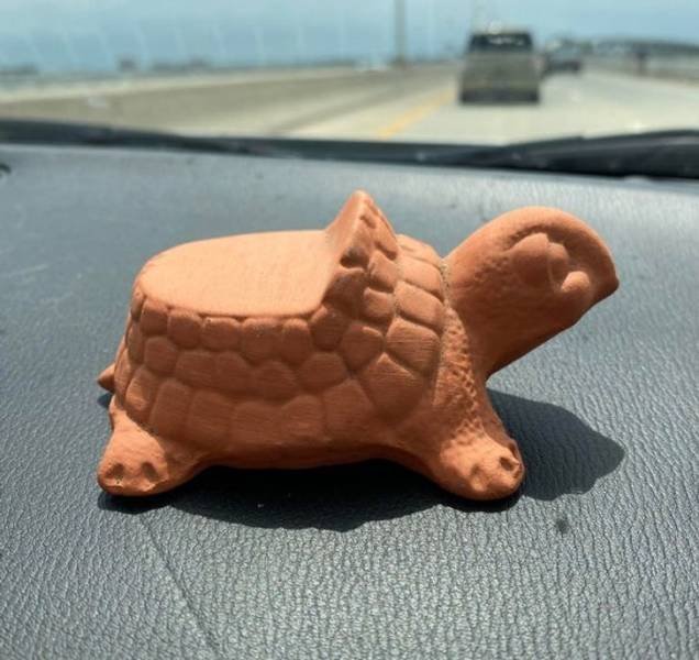 What Are These Things For? (25 pics)