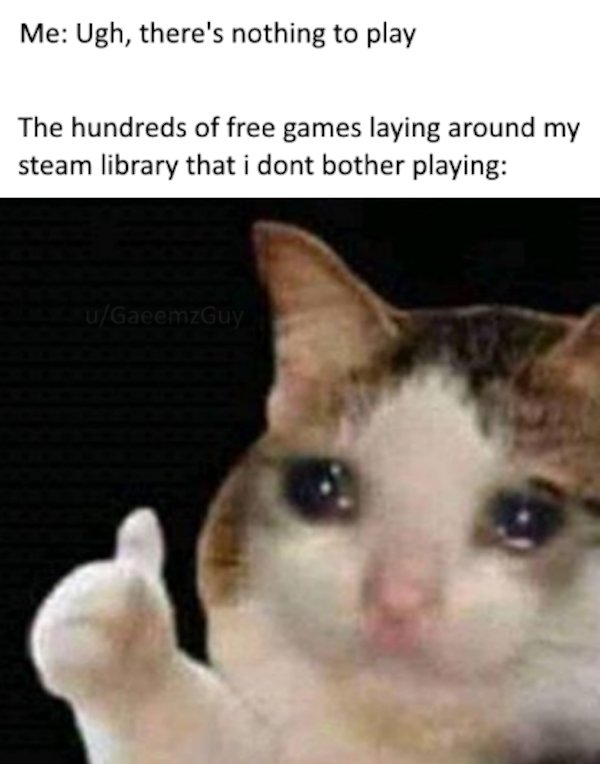 Pictures For Gamers (37 pics)