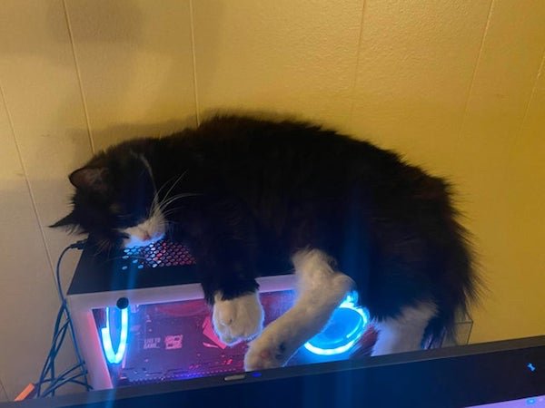 Pictures For Gamers (37 pics)