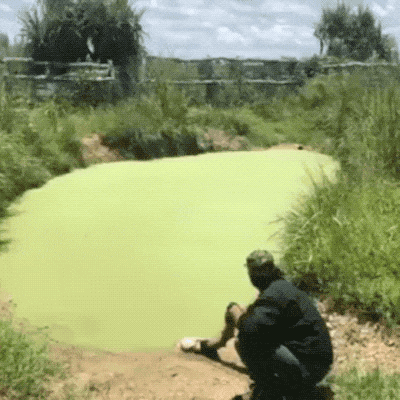 Wins And Fails (15 gifs)