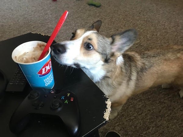Pictures For Gamers (37 pics)