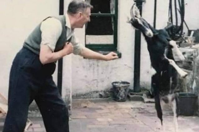 Great Old Family Photos (20 pics) Great Old Family Photos (20 pics)
