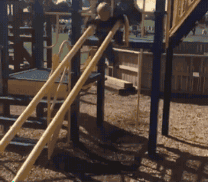 Wins And Fails (14 gifs)