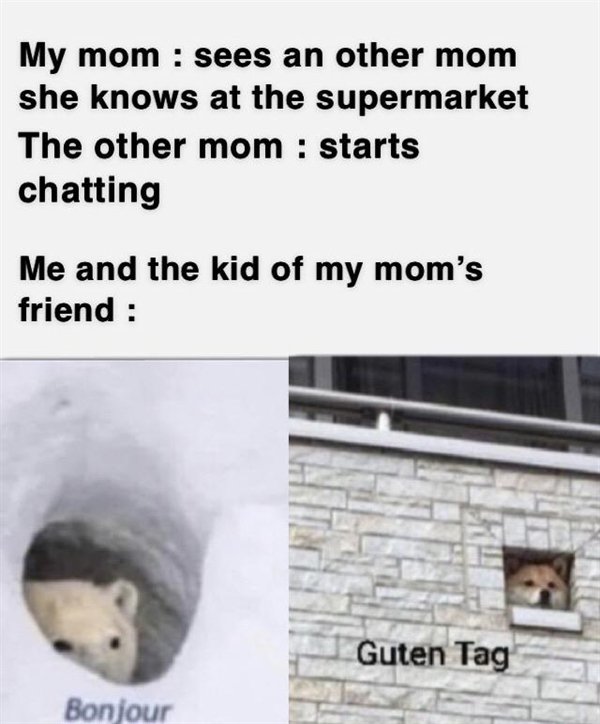 Hilarious Memes (27 pics)