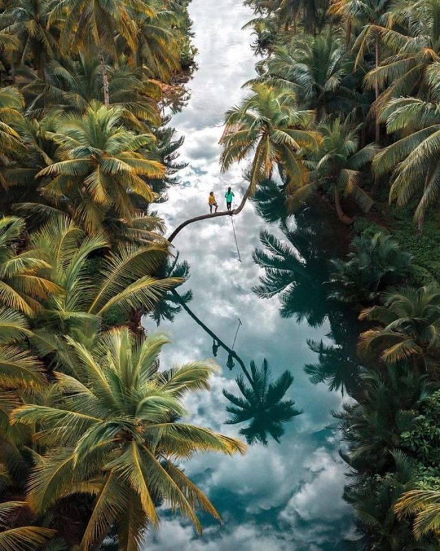 Amazing Pictures (52 pics)