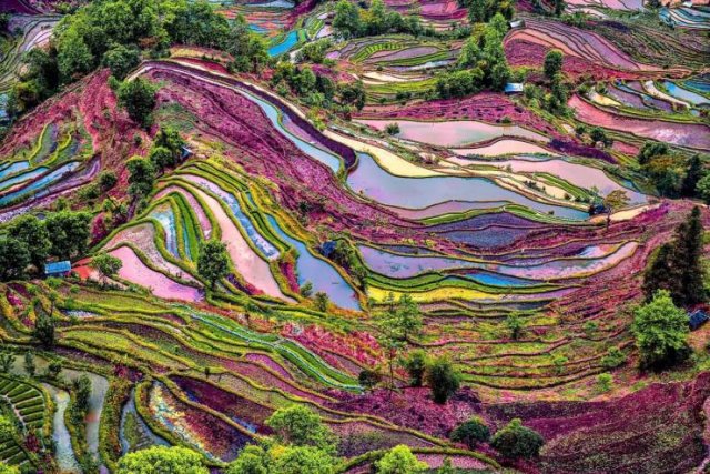 Amazing Pictures (52 pics)