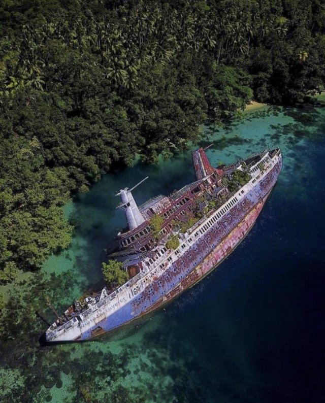 Amazing Pictures (52 pics)