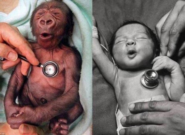 Amazing Pictures (52 pics)