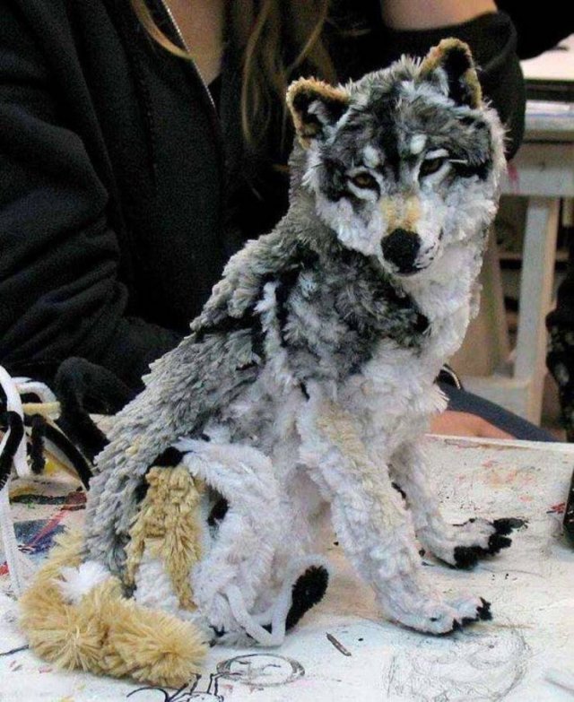 Amazing Pictures (52 pics)