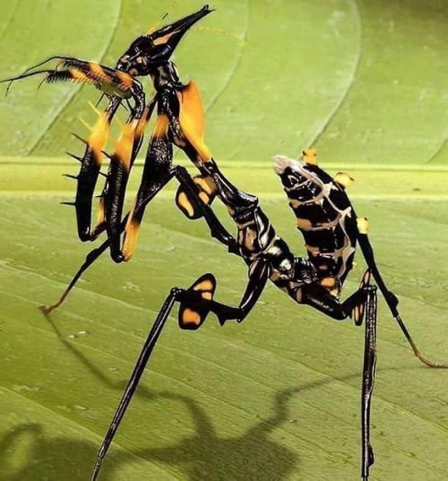 Amazing Pictures (52 pics)