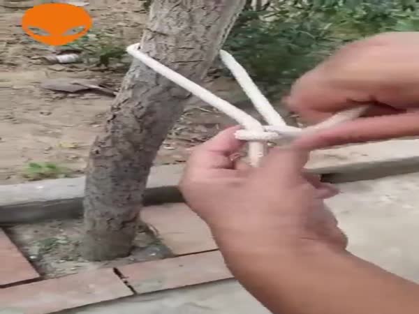Different Knot Types