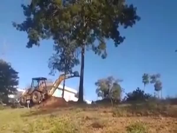 Karma Hits Back Hard