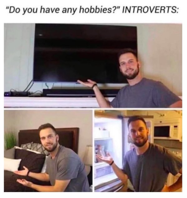 Introvert Memes (33 pics)