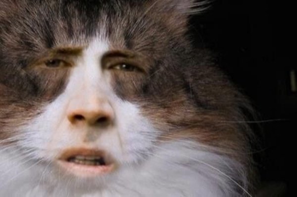 Photoshop Experiments (37 pics)