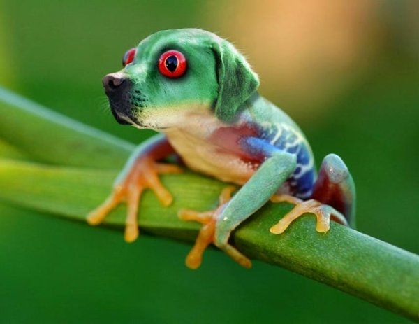 Photoshop Experiments (37 pics)