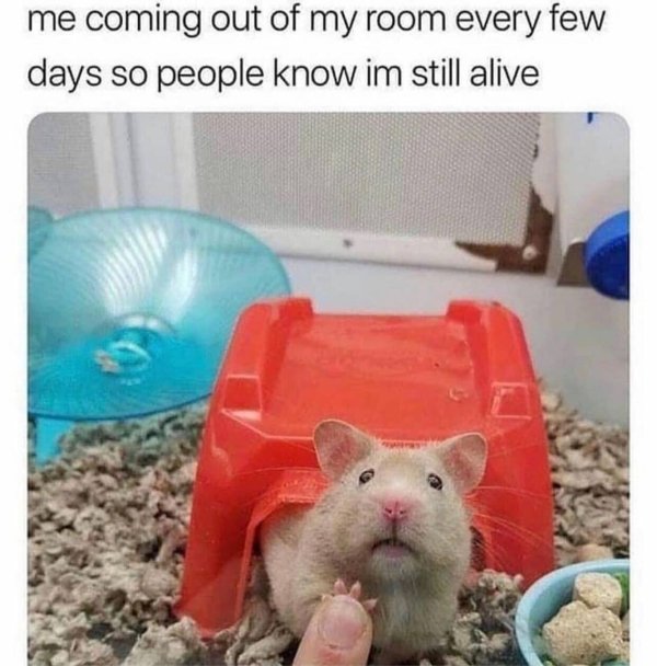 Introvert Memes (33 pics)