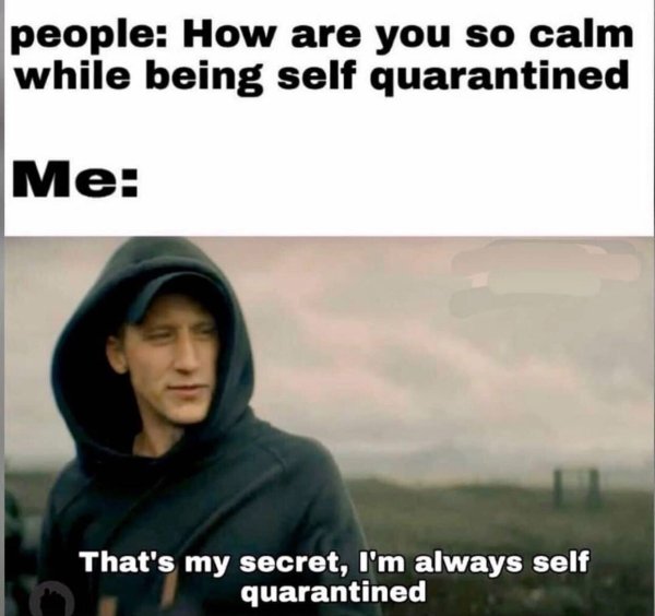 Introvert Memes (33 pics)