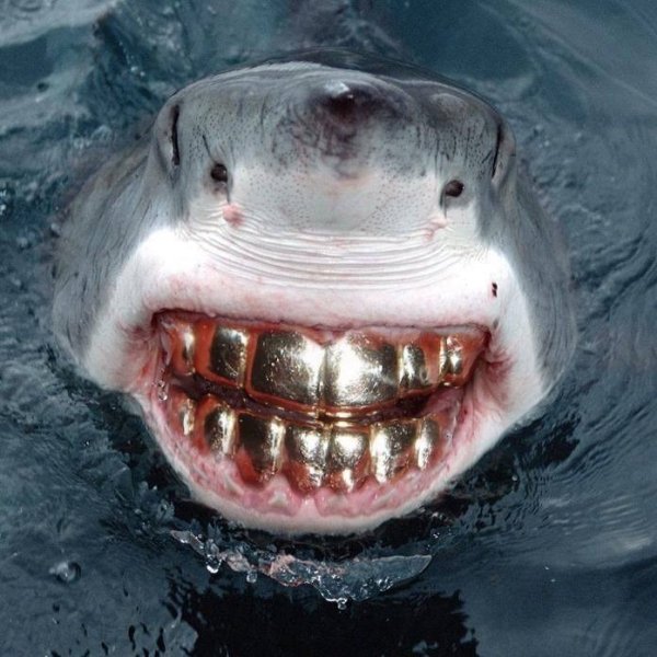 Photoshop Experiments (37 pics)