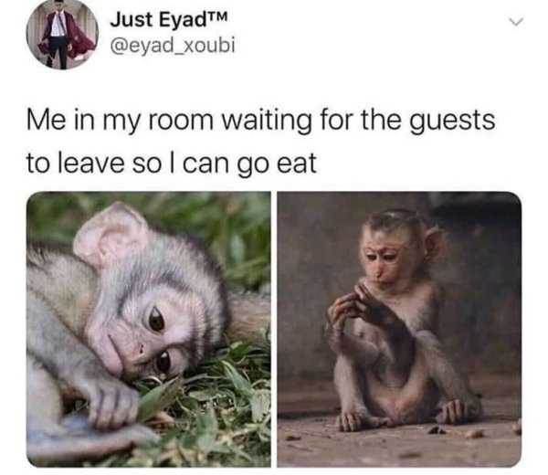 Introvert Memes (33 pics)