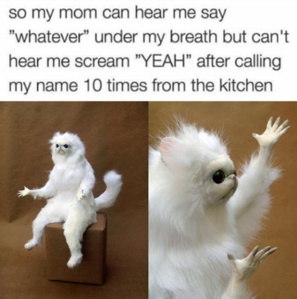 Random Funny Memes (46 pics)