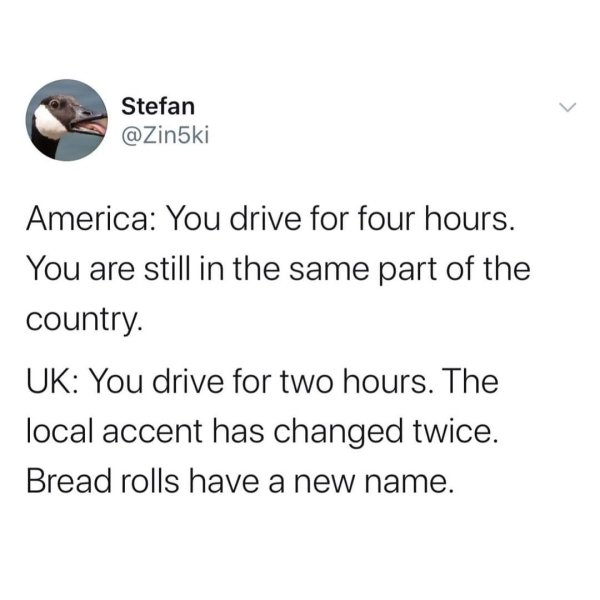Random Funny Memes (46 pics)