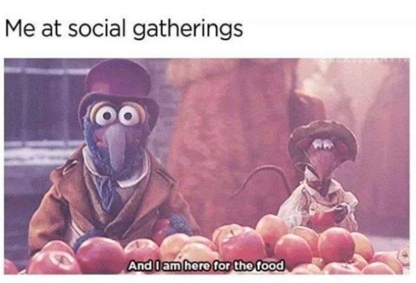 Introvert Memes (33 pics)