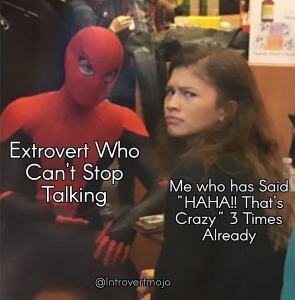 Introvert Memes (33 pics)