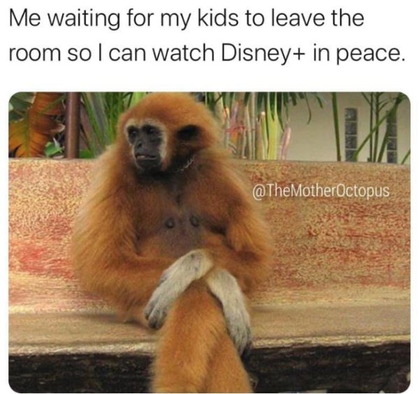 Random Funny Memes (46 pics)