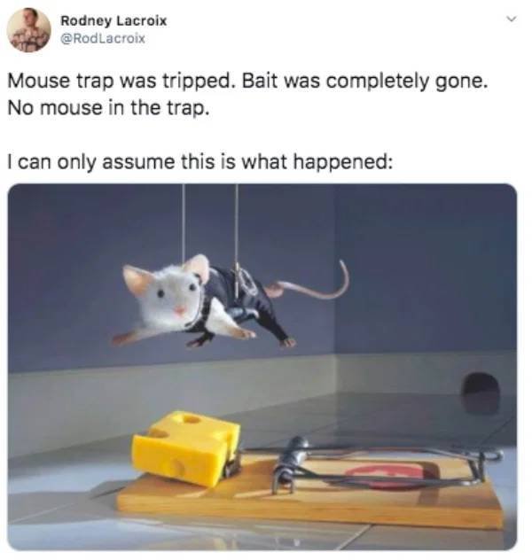 Funny Tweets (41 pics)