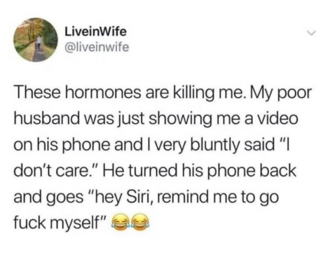 Funny Tweets (41 pics)